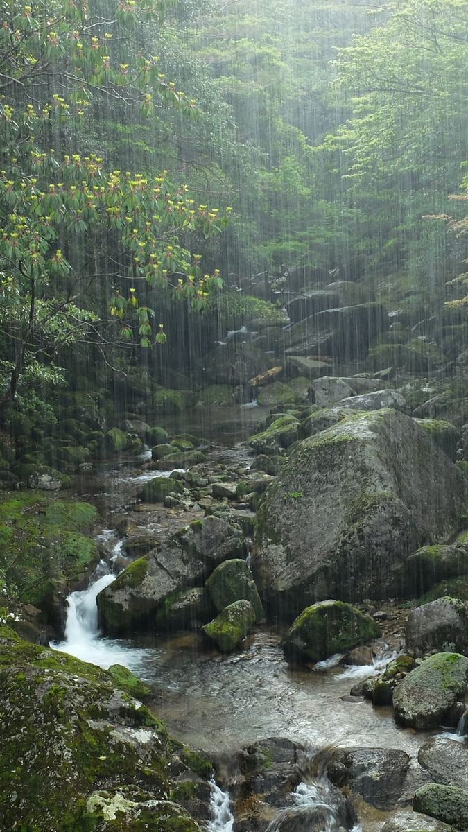 spooky_nature's tweet photo. we should appreciate nature more https://t.co/WcyHTzDI1i