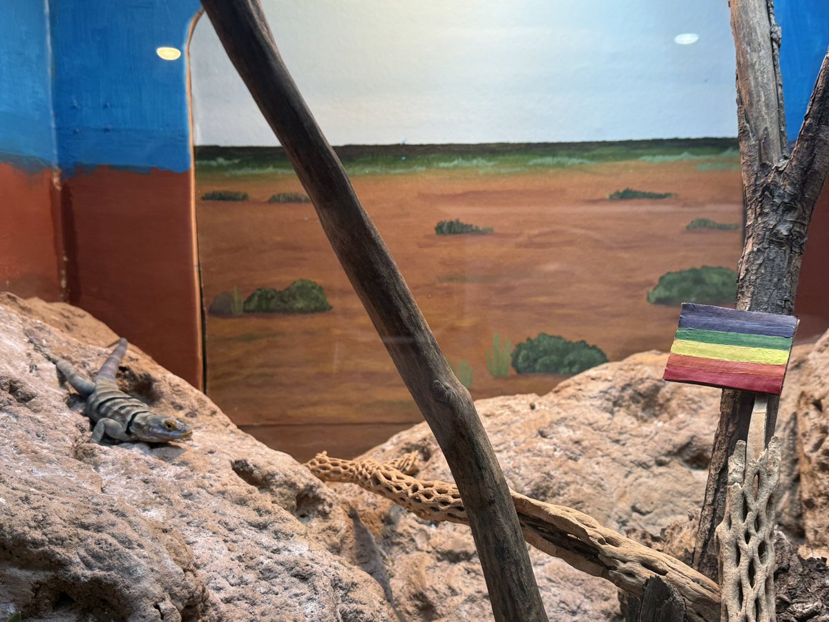 scoopyfrog's tweet photo. the zoo put pride flags in some of the exhibits lol, i support u nonbinary amazon milk frog https://t.co/Wrf8PX1OCA