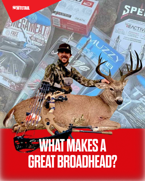 SPORTSMANchnl's tweet photo. WHATโS YOUR GO-TO BROADHEAD? ๐น๐ฆ
We broke down the Top 5 Best Broadheads for Bowhunting Whitetail Deer via @NAWhitetail: https://t.co/D7jMkXGneN
Drop your #1 pick below โฌ๏ธโmechanical or fixed?
#Bowhunting #WhitetailDeer #Broadheads #ArcheryLife #DeerSeason #HuntingGear https://t.co/xpeEbUCylv