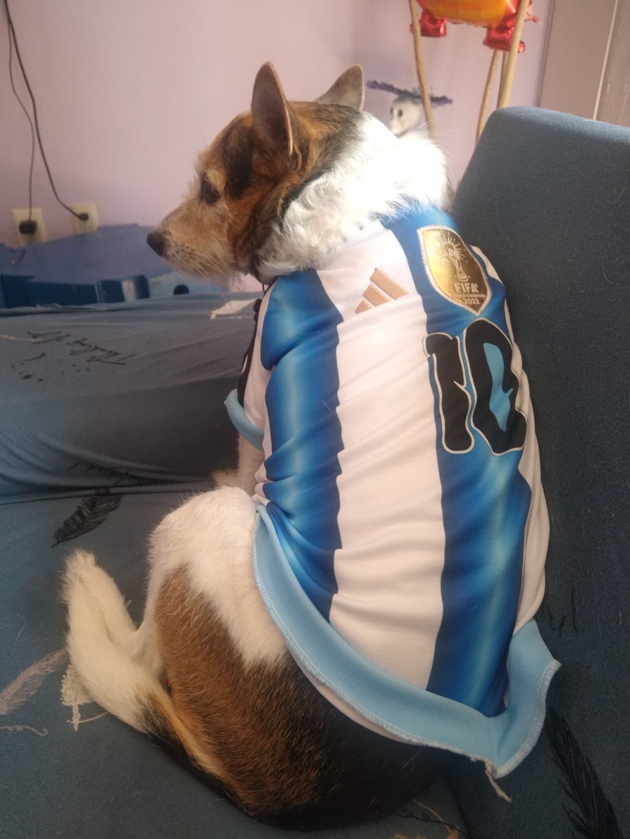 MaggieM43597581's tweet photo. Se busca a Pancho se perdio en parque de los venados , última vez visto en pilares y Cuahutemoc 
Trae placa con datos 
@En_laDelValle @enladelvallehoy @ParqueVenados @LetranValle https://t.co/gagf70EwQa