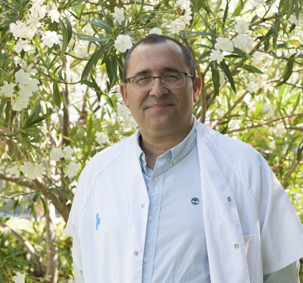 hbellvitge's tweet photo. 🩺 🏅 El Dr. Fernando Fernández Aranda, cap de la Unitat de Trastorns de la Conducta Alimentària del Servei de Psicologia Clínica de l’Hospital de Bellvitge, investigador principal de l’@idibell_cat, catedràtic del Campus Bellvitge de la @UniBarcelona i subdirector del CIBERobn ha estat inclòs al Top 20 de científics socials europeus de l'AD Scientific Index. I és l’únic investigador de l’Estat present en aquesta classificació.
Un reconeixement que posa en valor anys de recerca, innovació i compromís amb les persones.
🎉Enhorabona! 🎉
ℹ️ https://t.co/H5REjsn3gH
@ADscientificind #orgullbellvitge #EquipHUB #TCA #BellvitgeInvestiga @CIBER_ISCIII @DCOBN