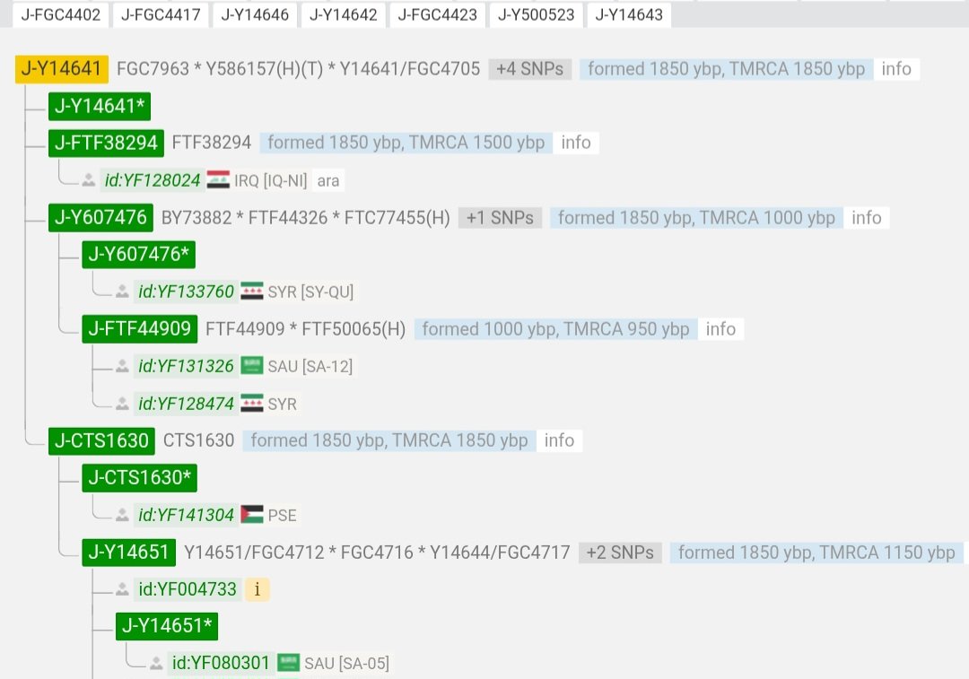 ZUBAED650's tweet photo. تم الفحص في مختبر  فاميلي تري DNA
رقم العينه : MI85258 في مختبر فاميلي تري
نوع الفحص : Big Y-700
ورقم : YF147288 في شجرة الواي فل
ورقم : AU101938 في شجرة  Ytree

النتيجة : موجبة للتحور  J1-M6661 وجميع مرادفاته
وسالبه للفروعه الحاليه وتشكل خط جديد منفردة به

يتبع 2 https://t.co/PQZKKg8AQf