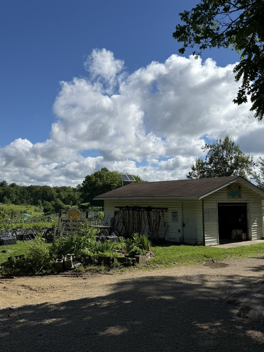 boy_imperator's tweet photo. My brother is in his MD PhD in Wisco. He keeps and tends large and fertile plots in a community garden. https://t.co/688TbSVcpM