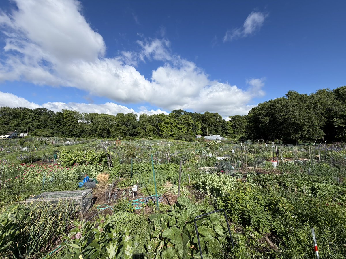 boy_imperator's tweet photo. My brother is in his MD PhD in Wisco. He keeps and tends large and fertile plots in a community garden. https://t.co/688TbSVcpM