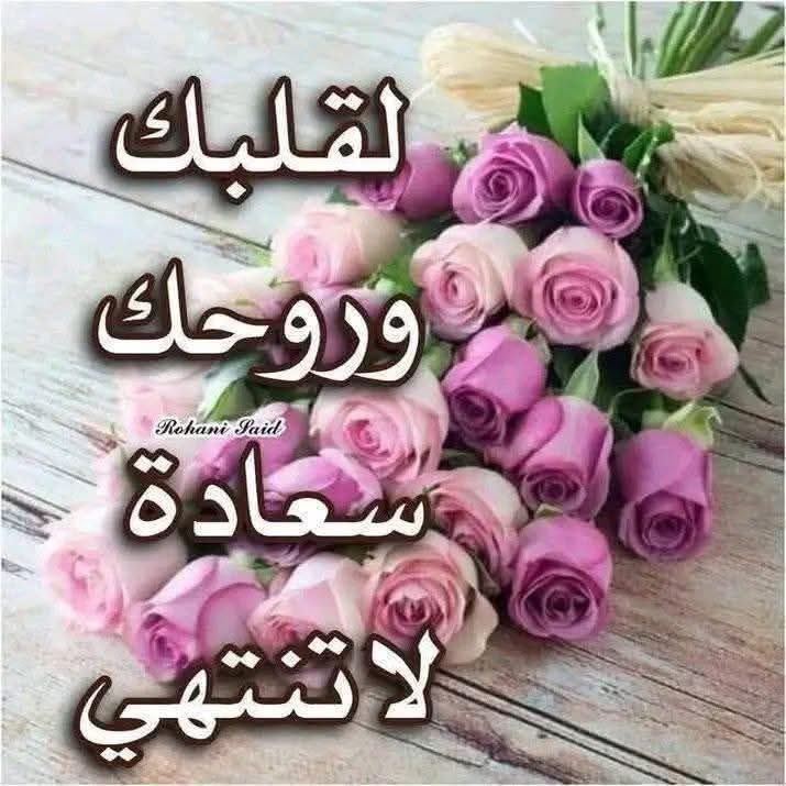 lfrshh's tweet photo. @Mastfa64924600 @Rr5000M https://t.co/3T5NREg0rm