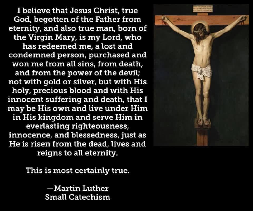 birdchadlouis's tweet photo. This quote is from Martin Luther’s Small Catechism. It’s the explanation to the 2nd article of the Apostles Creed. When I was in college, a professor quoted it in class. I was so impressed by the words that I went home and committed them to memory. They remain, in my opinion, one of the clearest confessions of Christ ever written.