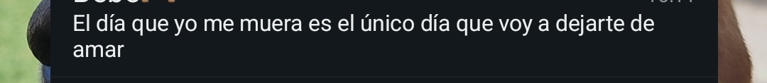 unalibrianamas's tweet photo. Y de pronto un día de sueeeerte se me hizo conoceeeeerte https://t.co/lcLx9tL888