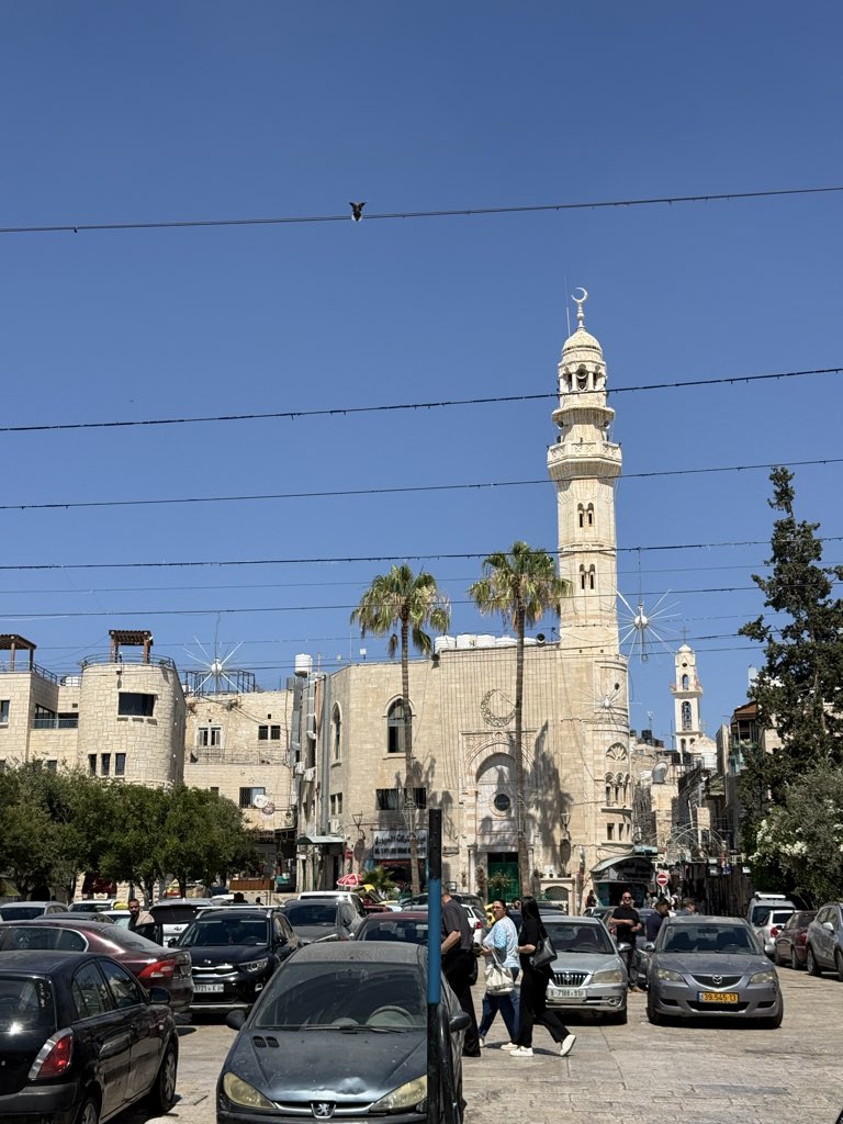 Shepherds4Good's tweet photo. With all the destruction the world sees, folks need to remember how beautiful Palestine is, was and will continue to be. It’s part of what the people of the land are fighting for. These are a few photos from a morning walk today in Bethlehem. https://t.co/sbNRarlh8o
