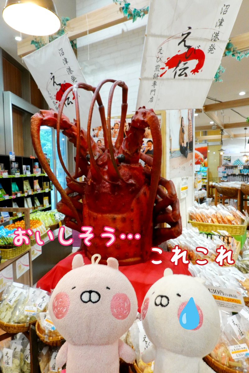 nyaomic's tweet photo. 「あしがらさーびすえりあはひろくていろんなおみせがあってしょっぴんぐもーるみたいぴえ❢ おいしそうなのもいっぱいぴえ❢❢」
#うさうさ小劇場 
#うさまる #足柄サービスエリア https://t.co/KCnttuDFa0