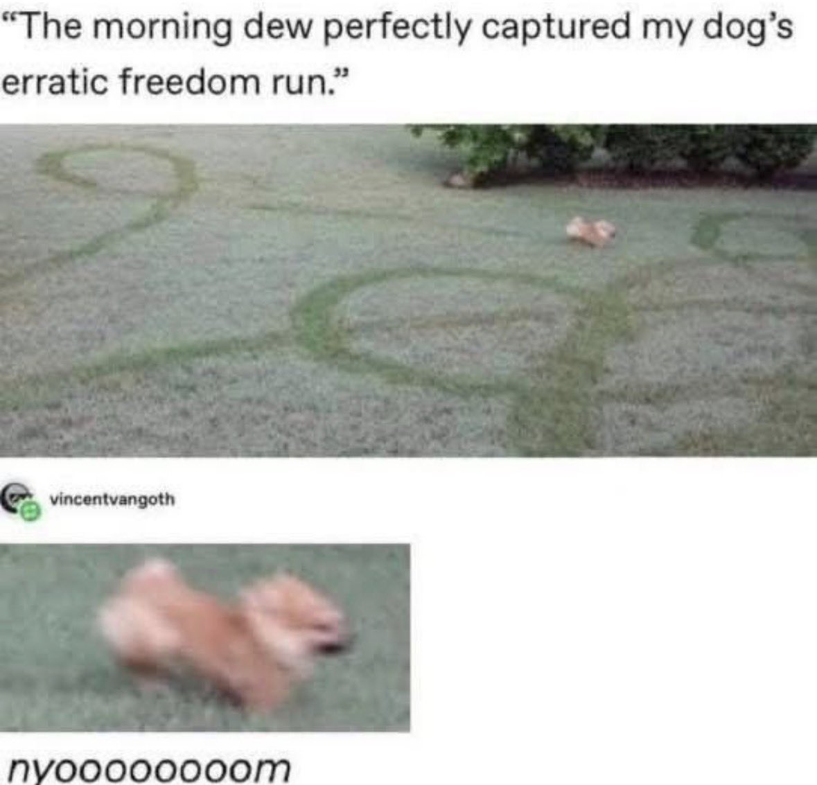 RespectfulMemes's tweet photo. https://t.co/Rvx3A3AjQa