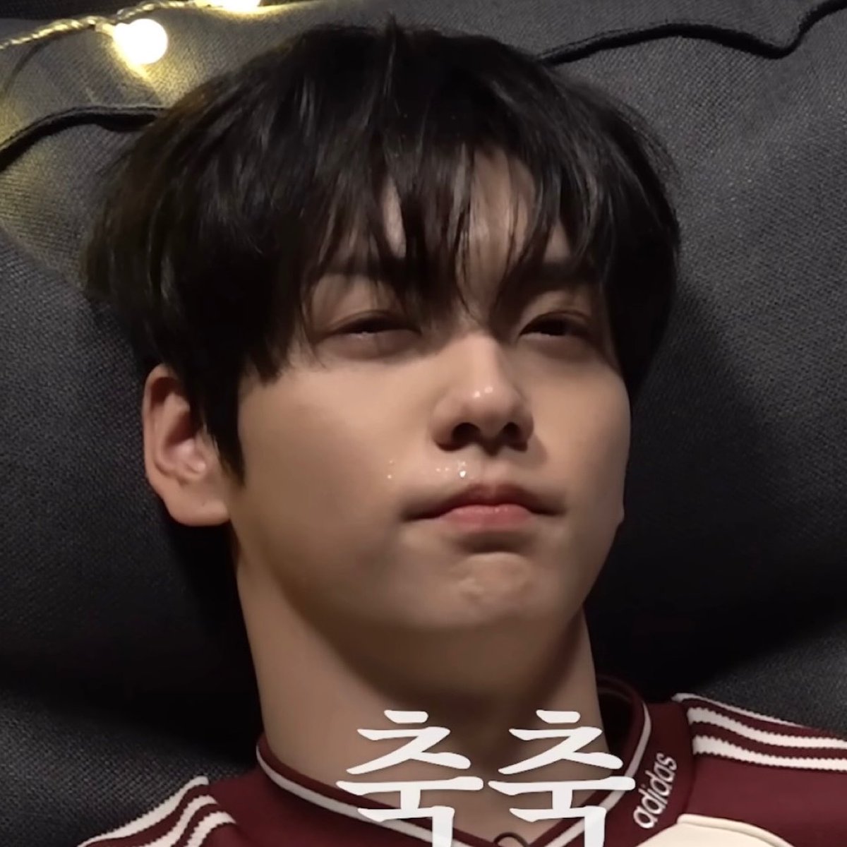 bunnychive's tweet photo. .             히히 저는 
                최면에                                     축축 
           안 걸리나 봐요 https://t.co/Qr5L2QCSu4