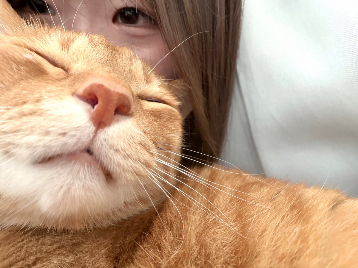 ___hinn's tweet photo. 最近アイメイク可愛いんだよね"(∩>ω<∩)"🌟💖 https://t.co/gJvXBN3rZh