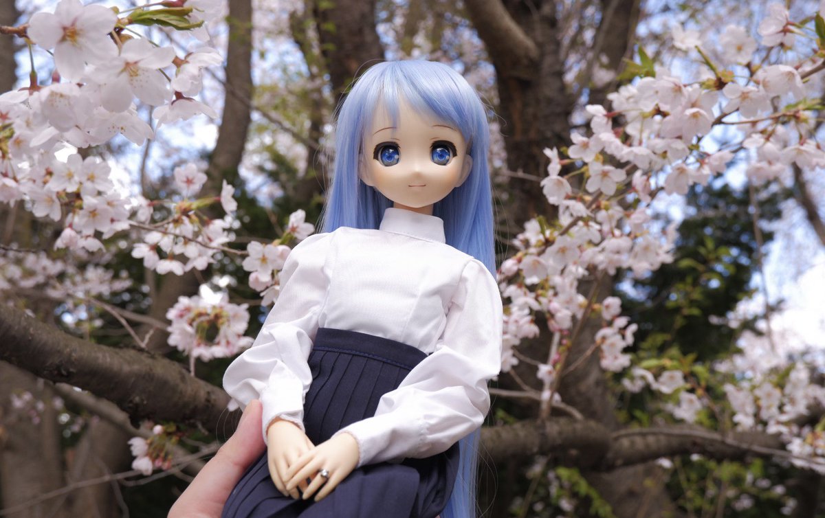見た人はお花と写ったドール写真をアップする 最近お外に行けてない