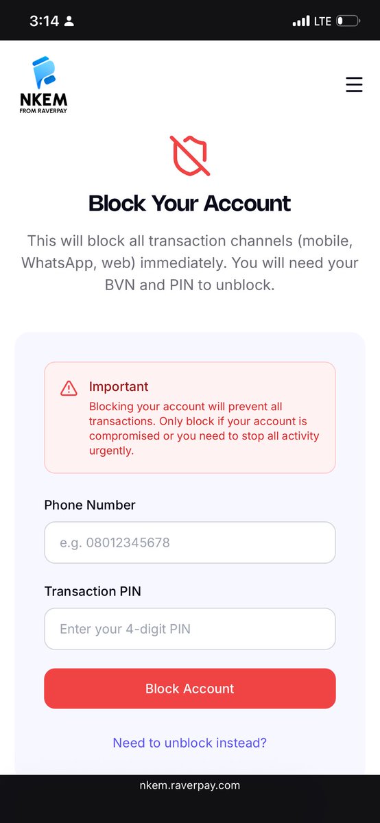 Nkem from Raverpay tweet media