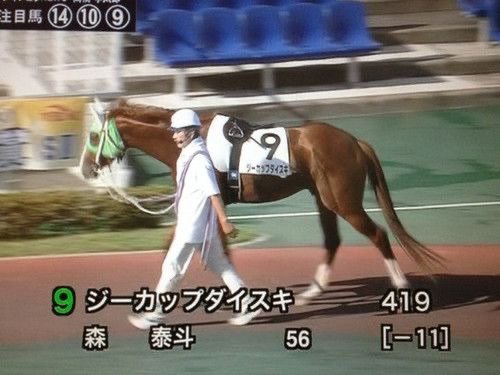 ramuattack's tweet photo. 競馬はわからんちん🤷‍♀️
ねぼすけさんはこれが好きなのは知ってるけどね🤣

 #ねむラジ775 https://t.co/GEDurluuXo