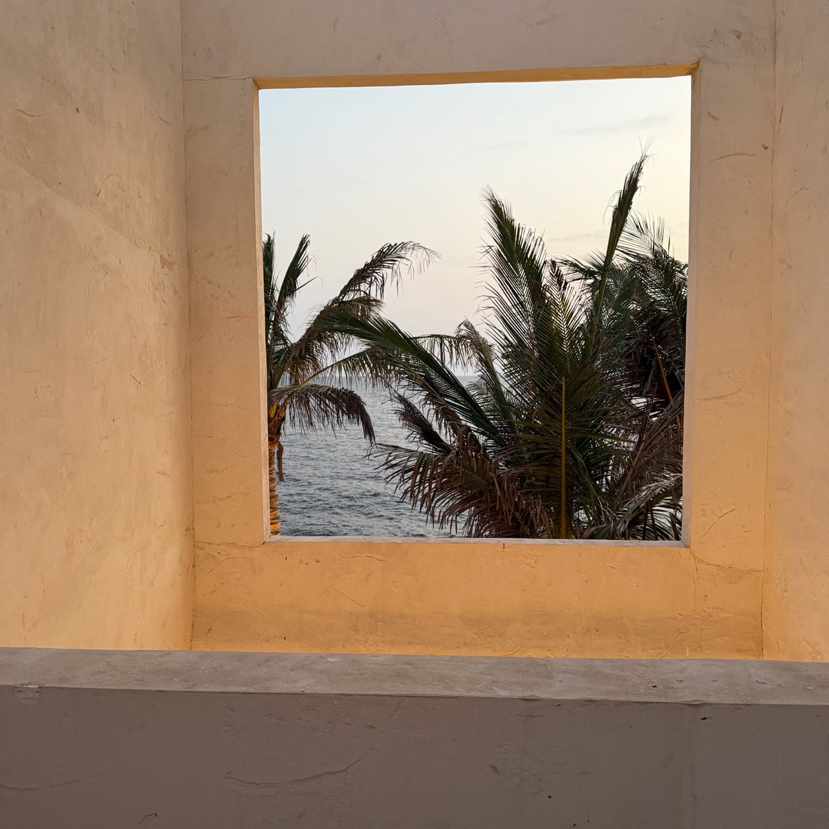 GHADALJI's tweet photo. Sunset yoga by the sea 🌊 https://t.co/xGuAFaka4F