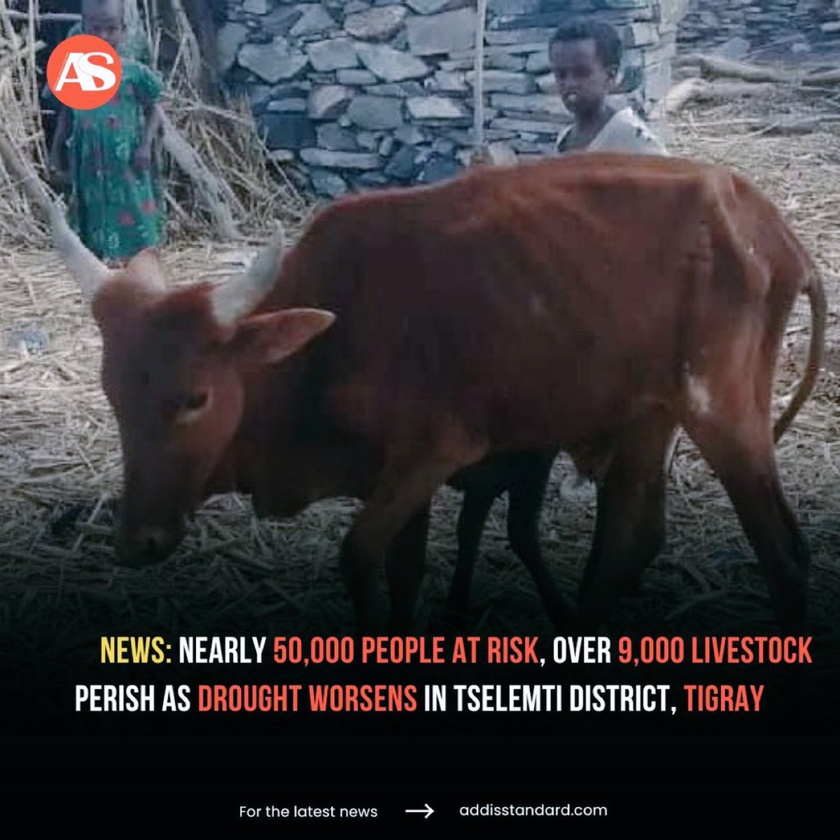 Hili1421's tweet photo. ↪️ Due to  two years #Tigraywar, in Tigray faces its worst drought in 40 years,with 91% of the population at risk of starvation.
#CauseOfTigrayFamine
@WFP @USAID @FAO @USDA @USUN @UKaid @hrw @amnesty @WHO @EU_Commission @UNICEF @UNOCHA @eu_eeas @UNHumanRights https://t.co/rinkluT70d