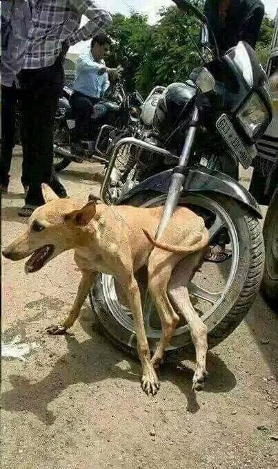 weehmzeee's tweet photo. "Pia mimi niko poa kung'ang'ana tu" https://t.co/gtWeKWFjQN