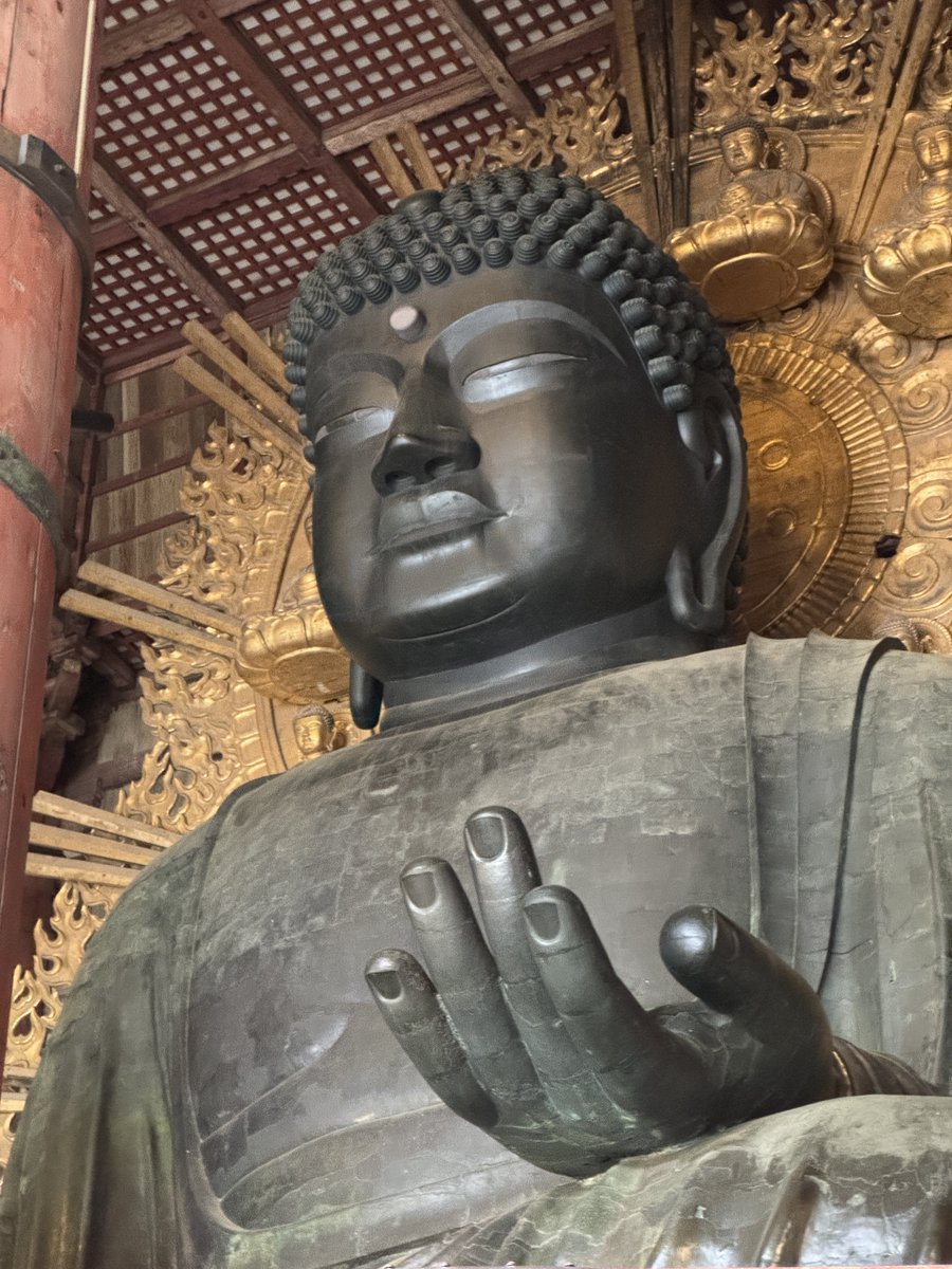wagippi's tweet photo. 人生初の生大仏様でした🙏 https://t.co/YxIpk5GAy7