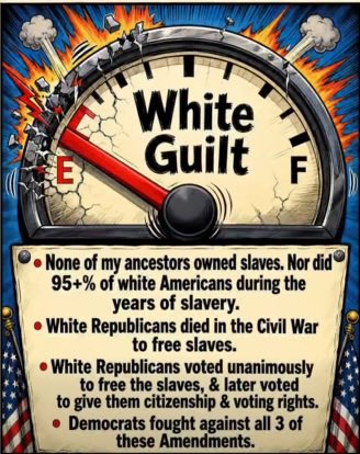 mickitiki's tweet photo. I have zero white guilt. https://t.co/oNHHw3N5pv