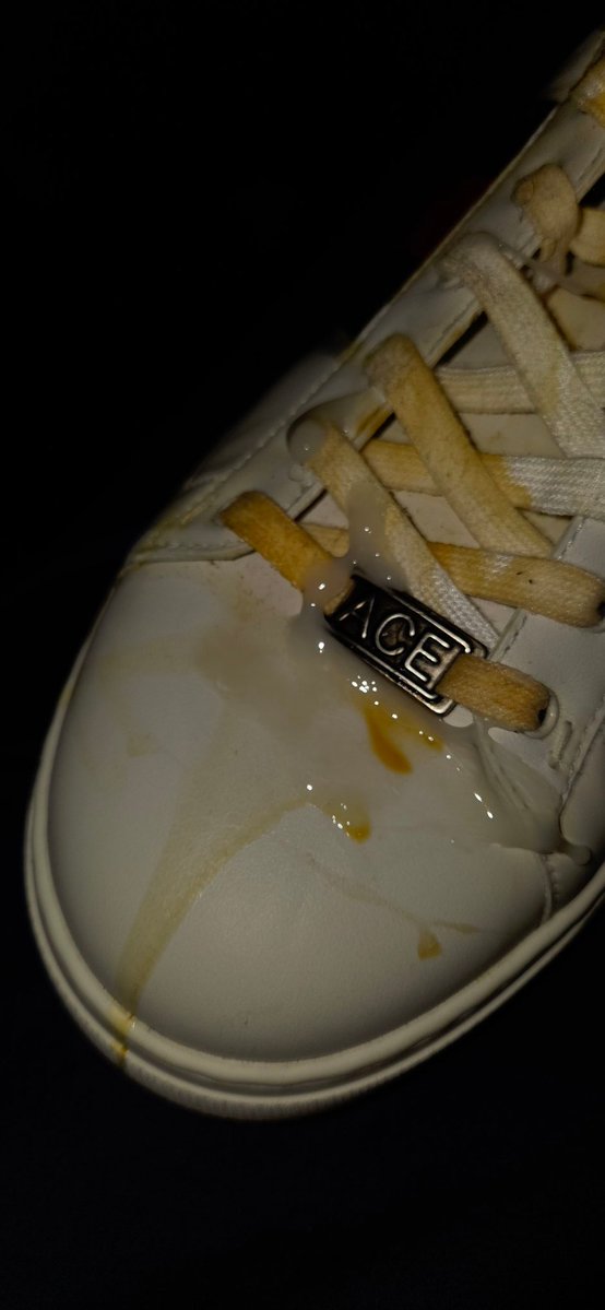 RuinUrShoes's tweet photo. ♻️👟♻️ RT GAME TIME! ♻️👟♻️

$3/$3/$3
3 comments max
60 minutes

It's been far too long since Dumbass's last drain, can't let him forget his place! So to remind him, here's what his $1000 Guccis look like in my care now! Never worn and looking much better for it! 😈😜 https://t.co/7TLJW6bgJJ