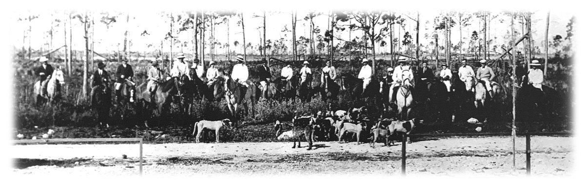 BiltmoreHotel's tweet photo. Did you know? Participants once gathered in the areas south and west of The Biltmore for fox hunts. The descendants of the foxes imported for these hunts are believed to be still seen today. https://t.co/aqR0udEuoz