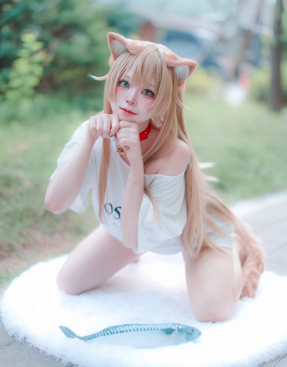 うちのねこが女の子でかわいい #きなこ