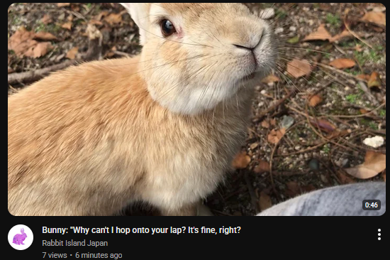 angelbun ૮ ˶ᵔ ᵕ ᵔ˶ ა Θ∆ 🏳️‍⚧️ tweet media