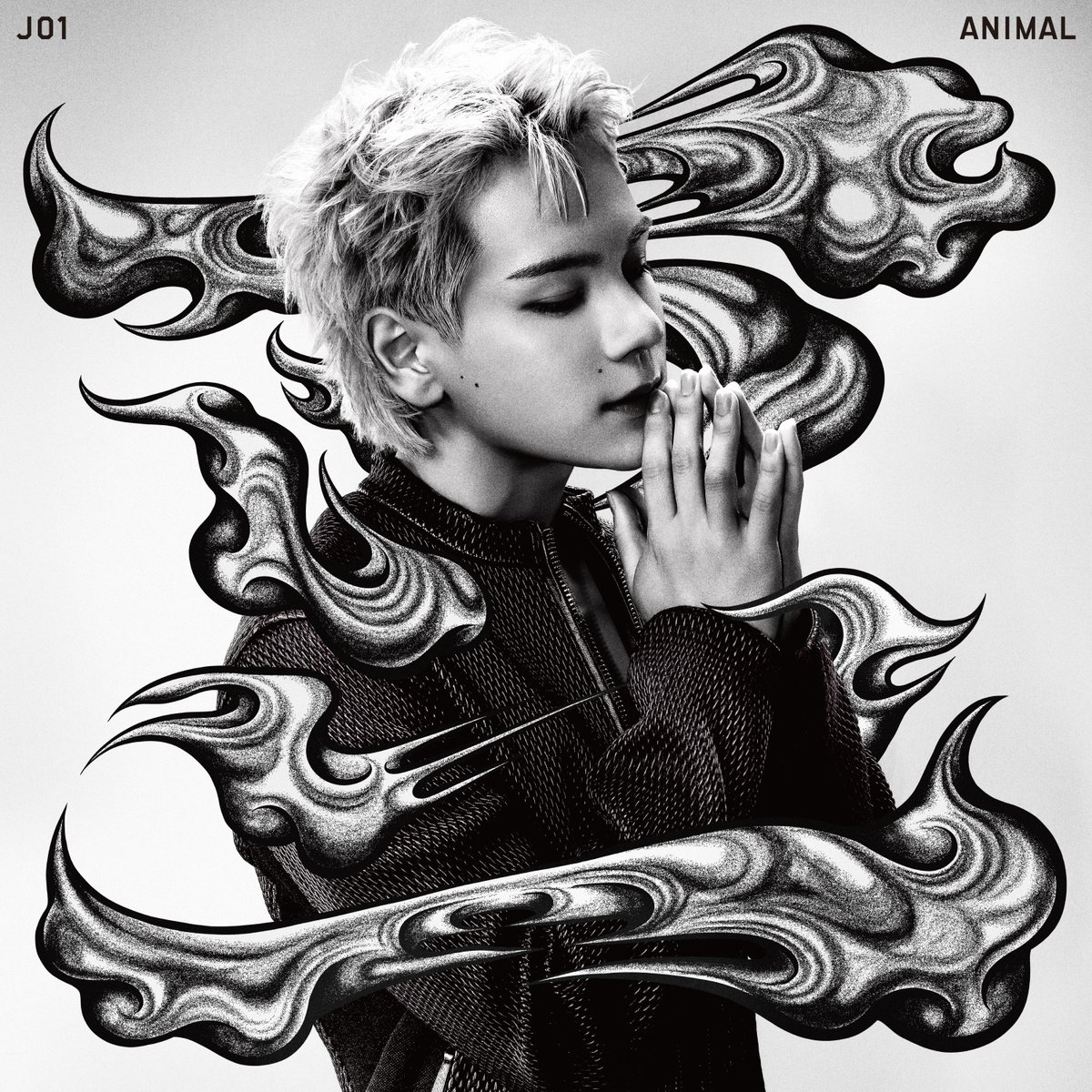 official_jo1's tweet photo. 𝐉𝐎𝟏 𝐔𝐒 𝐄𝐏
𝐀𝐍𝐈𝐌𝐀𝐋

-
𝐉𝐀𝐂𝐊𝐄𝐓 𝐏𝐇𝐎𝐓𝐎
𝐌𝐞𝐦𝐛𝐞𝐫 𝐒𝐨𝐥𝐨 𝐉𝐚𝐜𝐤𝐞𝐭 𝐯𝐞𝐫.
𝐌𝐀𝐌𝐄
-

Coming Fall 2026

#JO1 #JO1_ANIMAL
#豆原一成 #MÁME https://t.co/n0blzxv69r