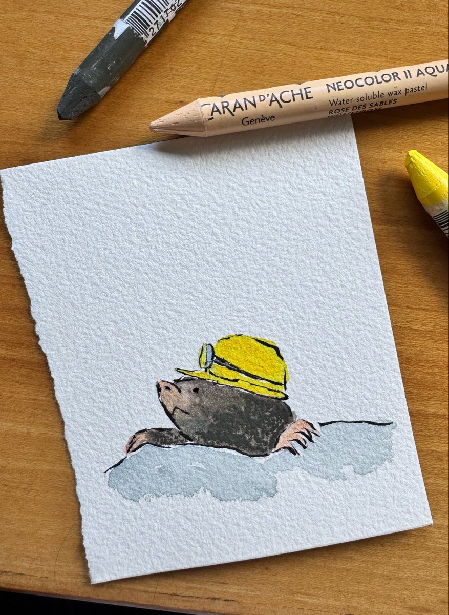 prontitohb's tweet photo. No puedo parar de ver imágenes sobre los terremotos de Venezuela. Hasta ahora no sabía que a los que se meten entre escombros de edificios para rescatar gente se les llamaba topos. Por todos ellos —profesionales y no profesionales— va el dibujito de hoy. https://t.co/xVywWT6kVf