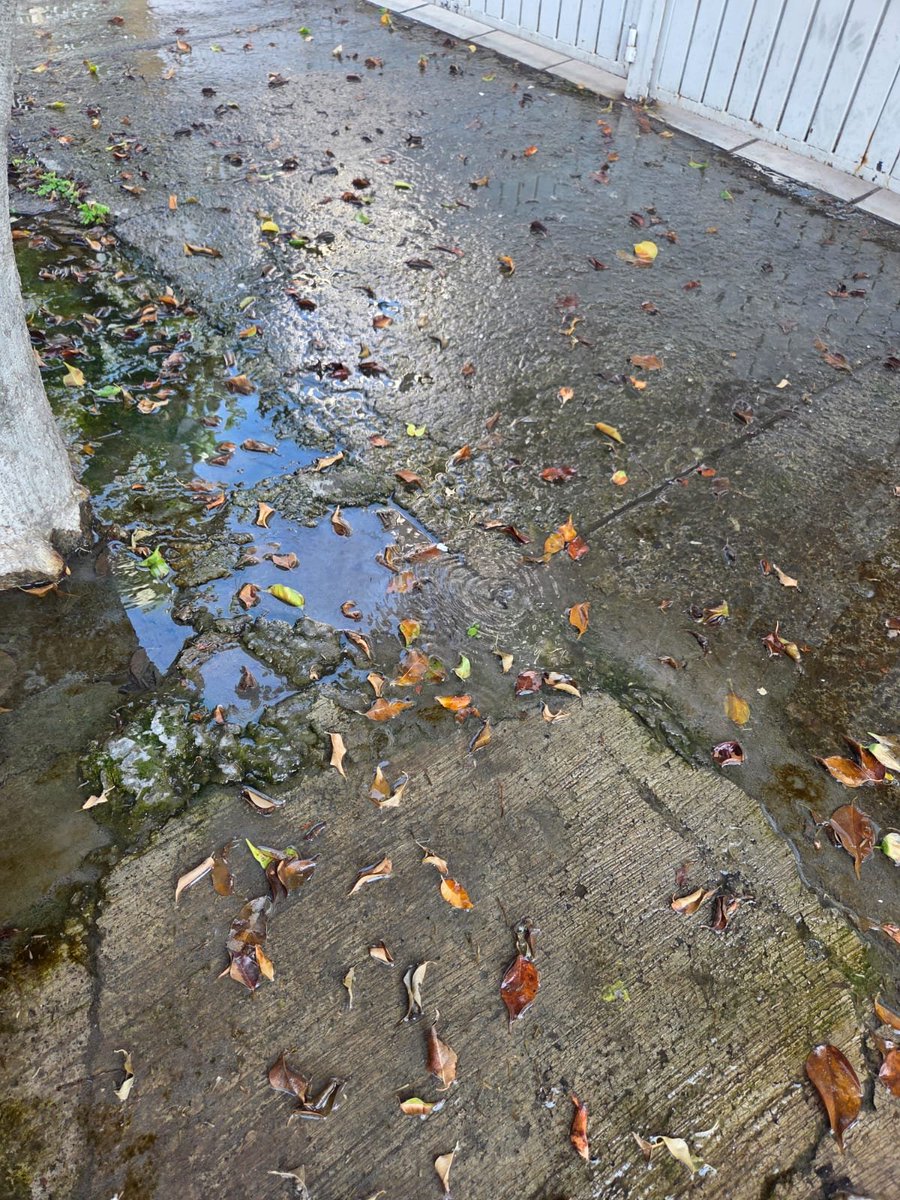 JuanFloo's tweet photo. @siapagdl @GobiernoJalisco @Trafico_ZMG  Fuga de agua en la calle  isla ciclades 2020 A, ya tiene 3 dias la fuga esta en la banqueta y hay mucho desperdicio de agua https://t.co/f5xstG99SP