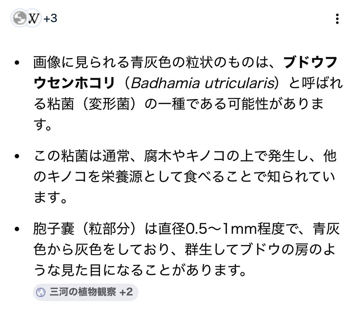 crazyhatgame's tweet photo. 粘菌なんですって(たぶん)
カタツムリの卵とかなのかなと思って写真を撮りました https://t.co/4twAstzMNJ