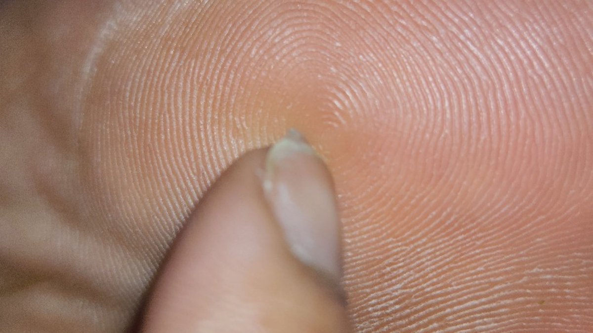 misskailass's tweet photo. VID SOLD! Up Close 8K of My Soles 🔥 Check it out! https://t.co/Sil1S1hAaU #MVSales @manyvids https://t.co/QP5MZEfyXe