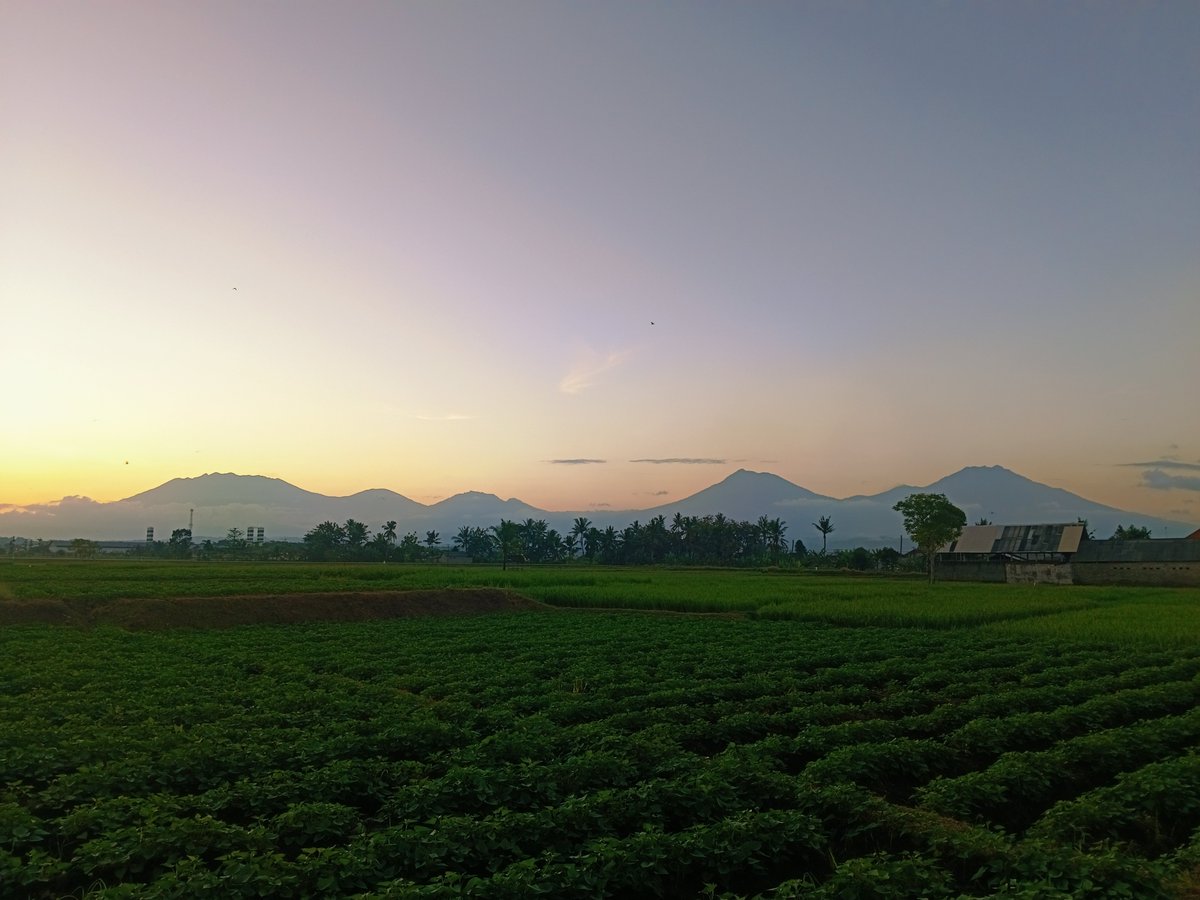 royijen1989's tweet photo. golden hour..😍 https://t.co/IRHTcMXM8c