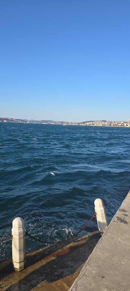 thebtlll's tweet photo. Sevmiyorum kardeşim zorla mı ? :) https://t.co/34VoOHSxg0