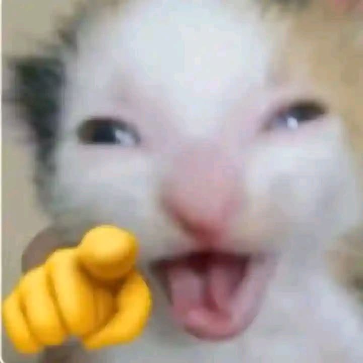 kaindaurtype's tweet photo. WKWKWKWK INI HARUS AKU TUNJUKIN KE TEMENKU 😭😭 https://t.co/E0nGqPuLDe