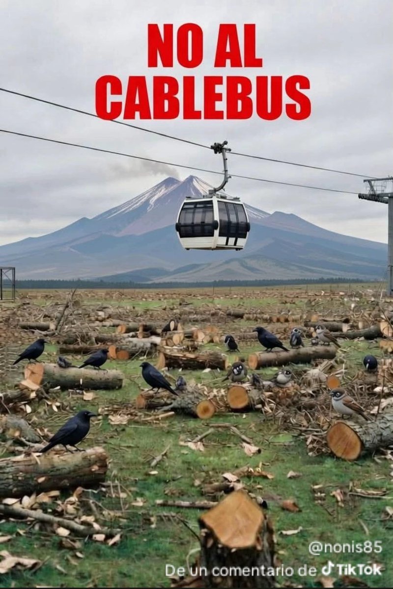 rosaliaagu81616's tweet photo. @armentapuebla_ Entonces por que quieres tumbar tantos árboles para hacer tu capricho del tendedero eléctrico? @armentapuebla_ #Noalcablebus #Noalsistemadetransporteporcable https://t.co/AUP26RDSuu