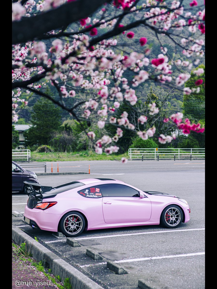 a99_m2's tweet photo. 🌸🌸🌸
     🚗

#車好きな人と繋がりたい #車好き #韓国車 https://t.co/qTr4cSqTLh