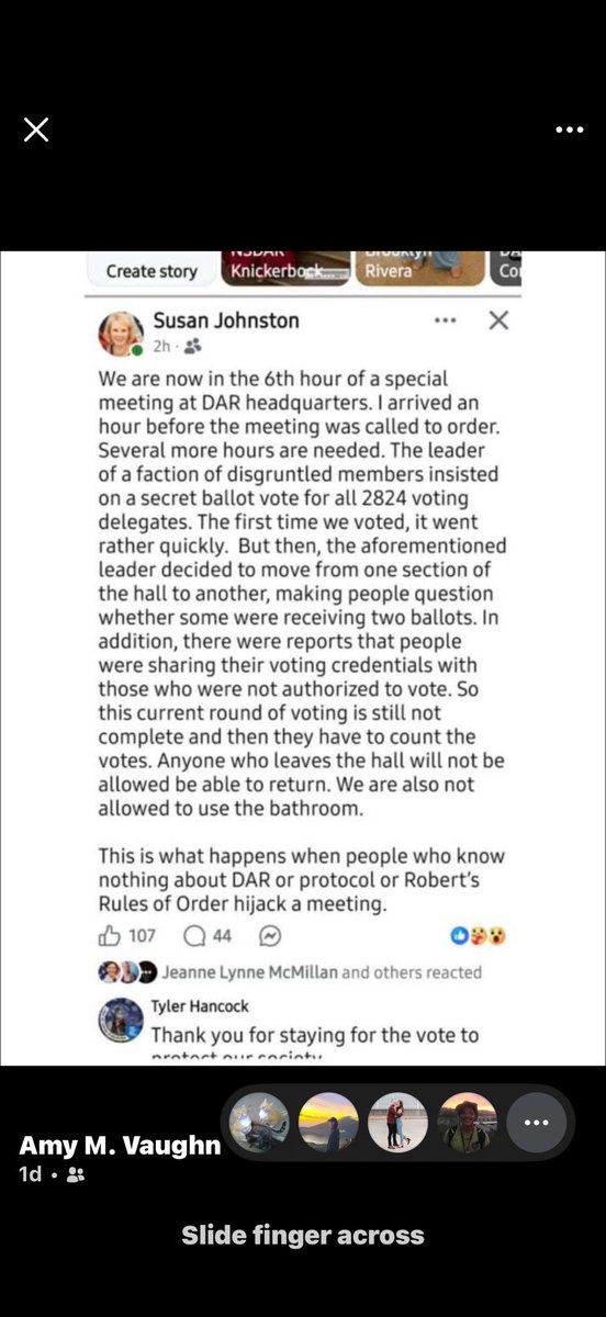 WhiskeyTango63's tweet photo. @MZHemingway This is the Texas State Regent. 2 hours into the vote she is posting negative, evil comments out our efforts for restoration, ON A PUBLIC PLATFORM!!! https://t.co/LnhZyAhml8