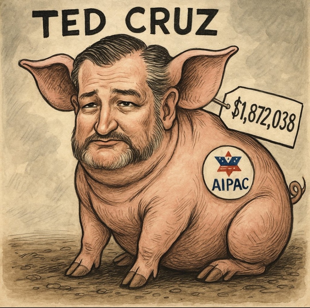 erran99's tweet photo. @tedcruz Quiet Piggy 🤣 https://t.co/Ms6atP3NoL