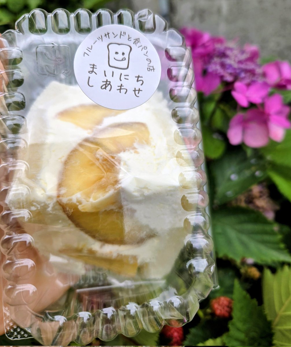 PopeyeYumi's tweet photo. めちゃめちゃ食べたかった🥪🍑生あんず…食べられなかった💦でも、初物 #桃サンド 食べられ😋美味なり～💖幸せハーフ🫶✨💕 https://t.co/vYrFT5B2tl