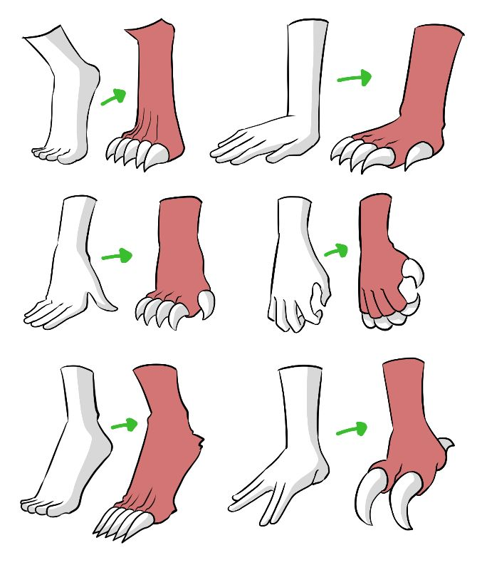 Monster hands are basically anatomy with extra attitude