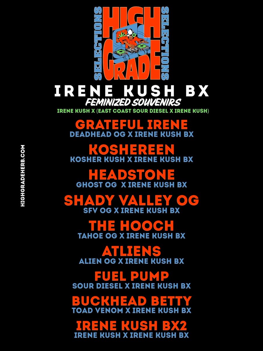HigherGradeHerb's tweet photo. Irene Kush BX Fems

Putting together a few new seed drops that are completely insane. I'm super fuckin hyped up about this project.

Dropping soon... https://t.co/yi7WN2DMBP