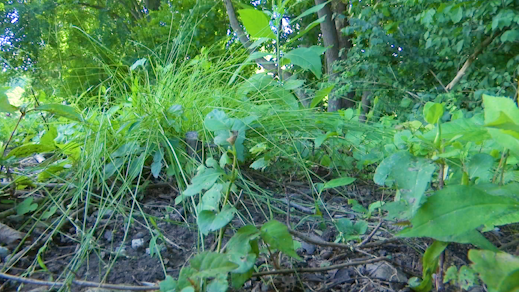 BrandonHuffman9's tweet photo. CHARLESTON, https://t.co/M2Zfq6FBhP. (WOWK) — An uptick in ticks is wreaking havoc on summer activities. Kanawha County mom Holly Persinger says she's already had an invasive...
https://t.co/Ukky02pigM https://t.co/Vhi5bs1gtP
