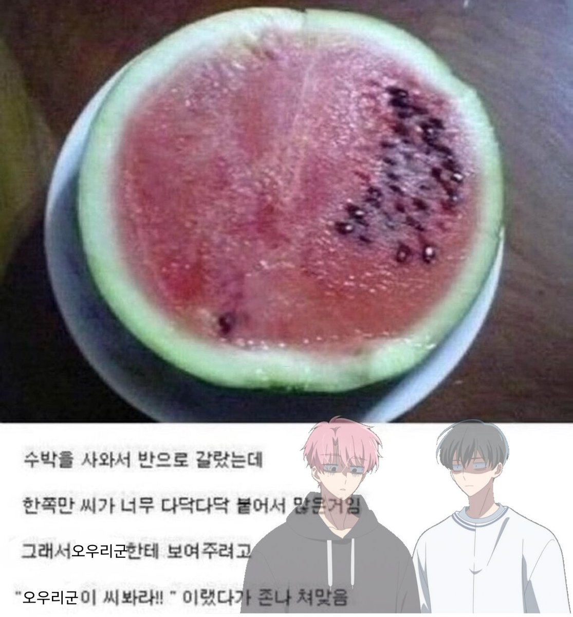 jeuha56847's tweet photo. #타몬군지금무슨짤
수박 https://t.co/ikb1lromD3