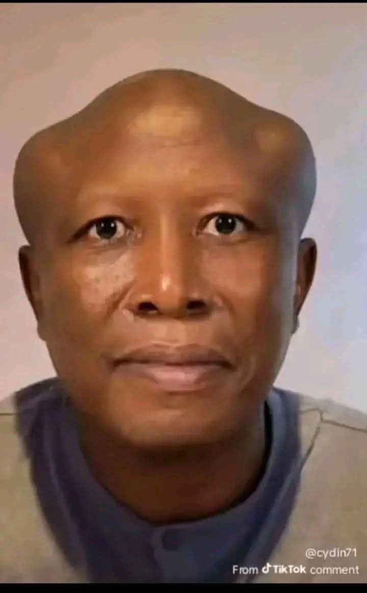 tribeleader88's tweet photo. @Julius_S_Malema Yeah right🥱 https://t.co/z97tx7c9Ol
