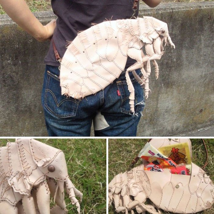 HerodotusWave's tweet photo. Just "flea-ing" the scene with my new favorite accessory. https://t.co/ZRpljUjiCV