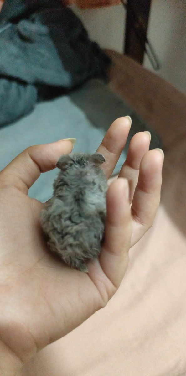 beeeaaawesome's tweet photo. A month of little happiness, but it was enough to change my days. I won't get to spend hours just watching you anymore. You really made me pause, slow down, and enjoy the quiet moments. Thank you for making my heart a little fuller, even if it's only for a while :'(( https://t.co/39pZrVdzlJ