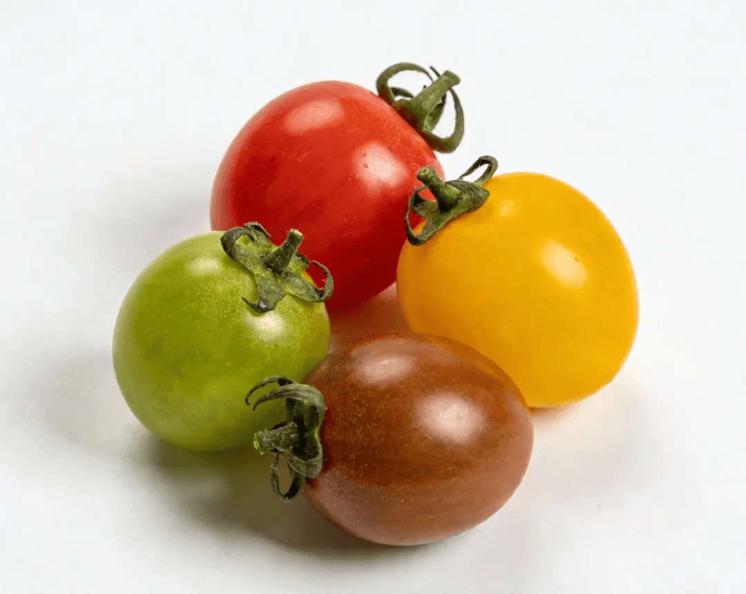yoEddong's tweet photo. Just tried the new farm-grown cherry tomatoes from local market—burst with juicy sweetness, zero bland aftertaste, perfect for snacking or salads!  Freshness hits different. https://t.co/O3gi5bUGvs