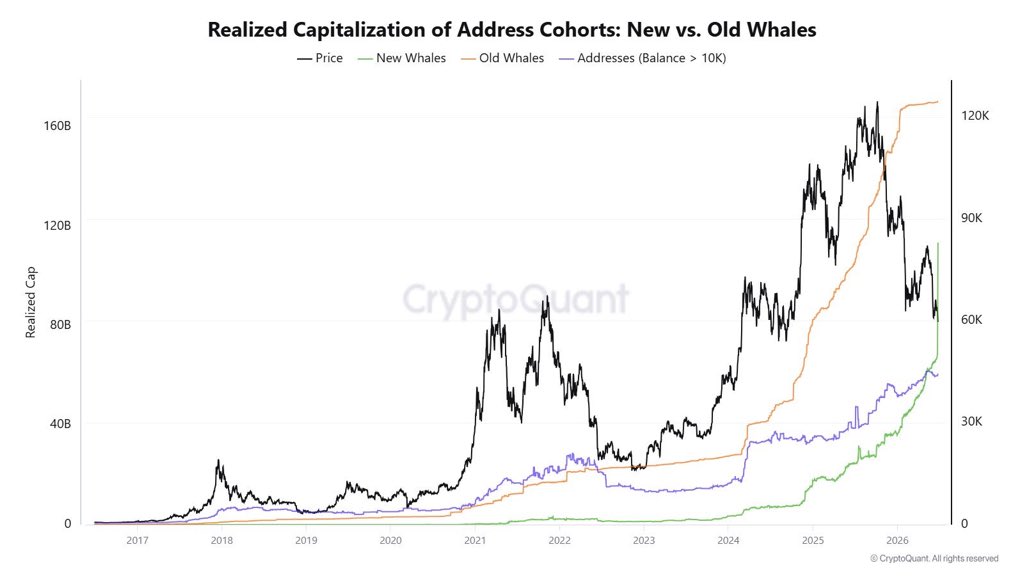 burak_kesmeci's tweet photo. Yeni Bitcoin balinaları yarınlar yokmuş gibi BTC biriktirmeye devam ediyor.

Heyecanlılar, ama bence fiyat RP altına inmeden yeterince ucuz değil. https://t.co/JHoVqG62EC